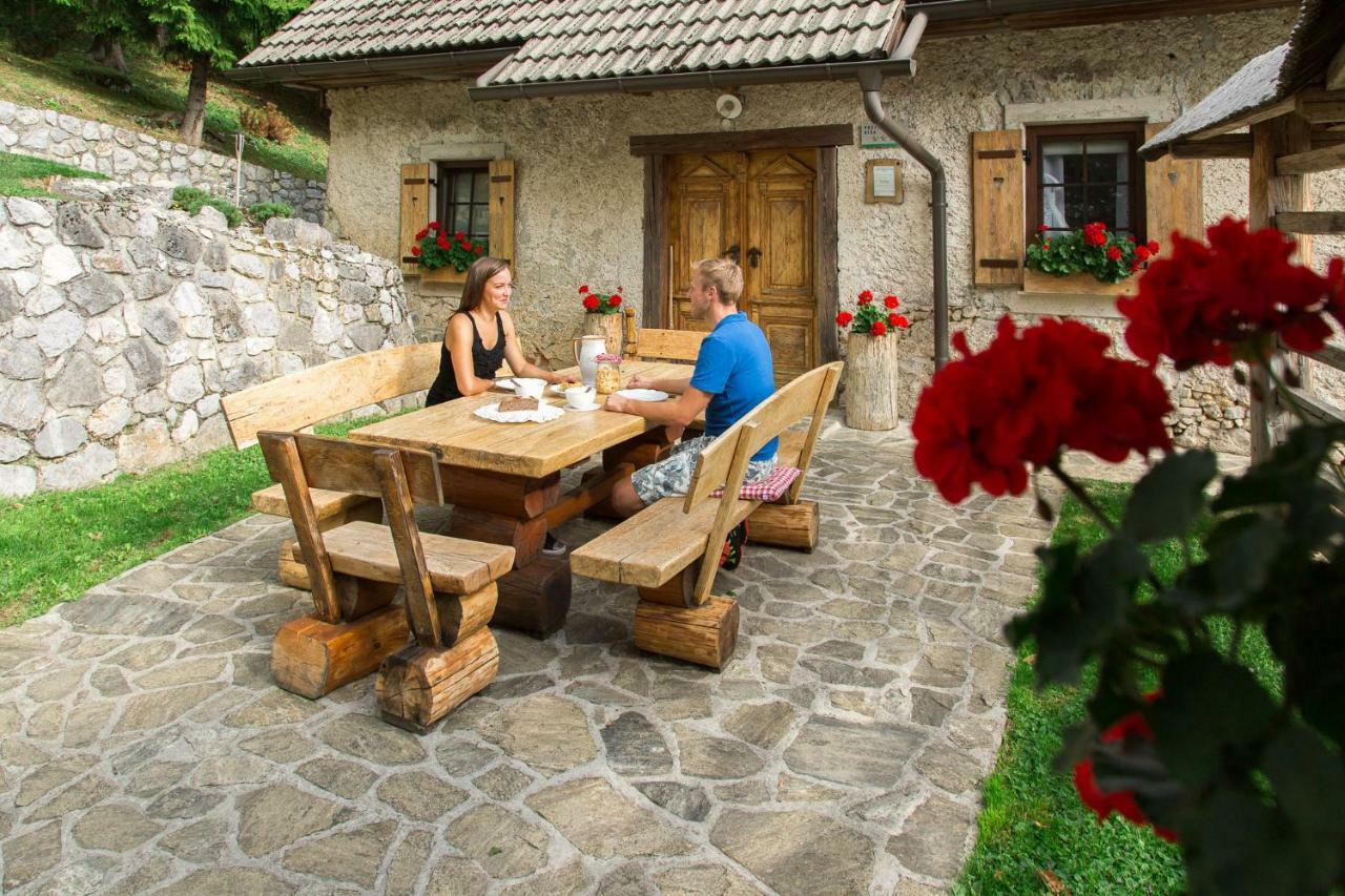 Holiday home Etno House Gostece- With Finnish Sauna Mozirje